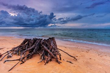 Tropical beach at sunset