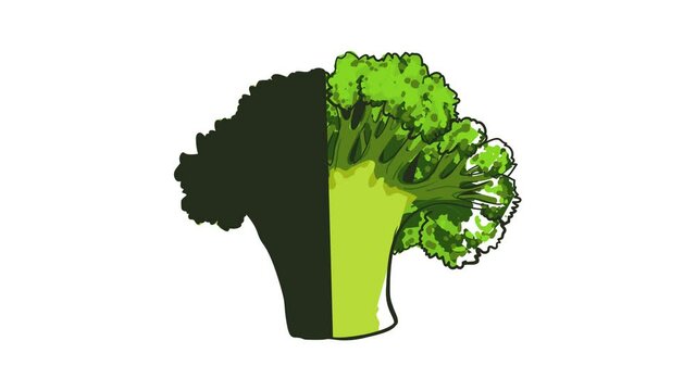 Green broccoli icon animation best object on white background