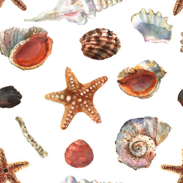Beautiful watercolor seamless pattern with colorful sea shells and stars for decorative design. Artistic backdrop. Watercolor abstract art background
