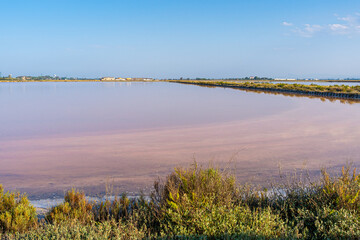 Saline di Cervia, Ravenna, Emilia Romagna, Italy, Europe.