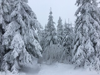 Schnee