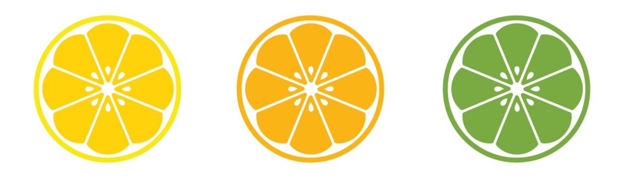 Citrus fruit slices icon set. Vector illustration