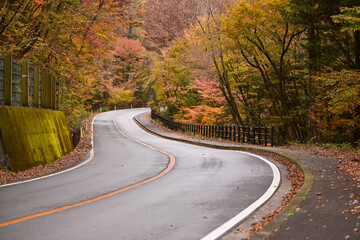 Fototapeta premium Tourist admiring Mt. Fuji in autumn, Japan