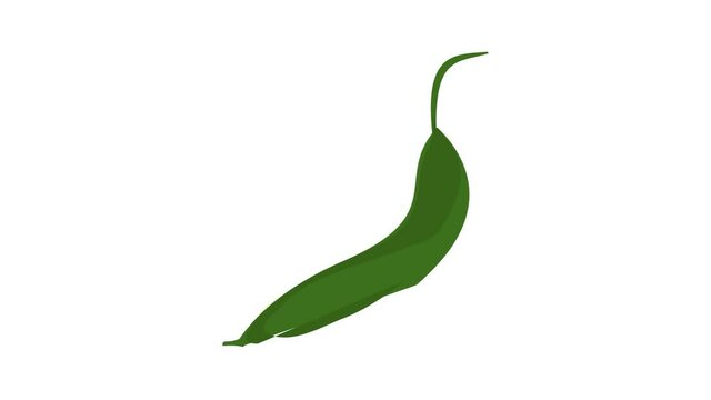 Garden peas icon animation best object on white background