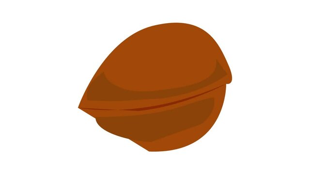 Greek nut icon animation best object on white background