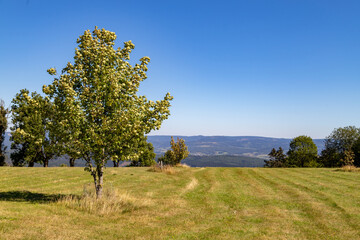 Scenic view on landscape from the mountain Dolmar in Thuringia