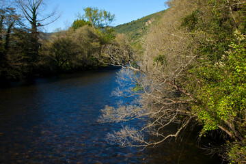 R&iacute;o Narcea,,tramo medio alrededor de Ovi&ntilde;ana, Asturias