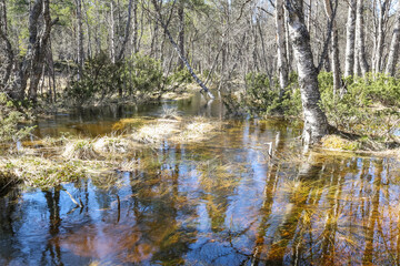 Spring flood