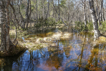 Obraz premium Spring flood