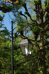 Park lamps, street lamps in Europe.