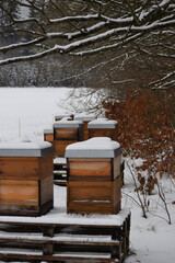 Beehives in Winter