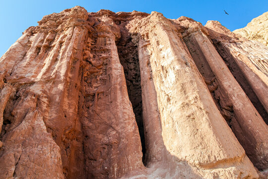 Amram bilder Bläddra bland 192 stockfoton, vektorer och videor