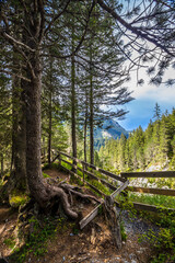 Obraz premium Rosenlaui glacier gorge in the Reichenbachtal valley in Switzerland