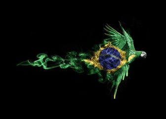 flying macaw with the national flag of Brasil
