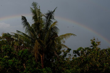 rainbow in the sky after the rain