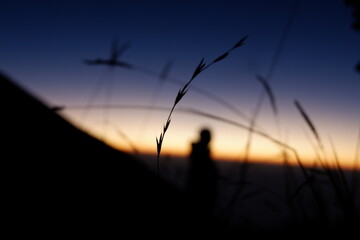 beautiful sunrise over the top of mountain