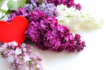 happy valentine's day card. spring bouquet of lilacs on white background and red heart