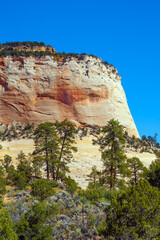 The picturesque huge Zion Canyon
