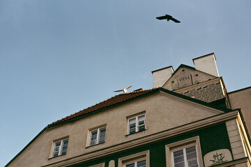 Fototapeta na wymiar old house in the old town wirh birds
