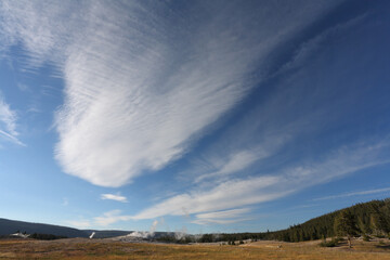 Fototapeta premium Yellowstone National Park.