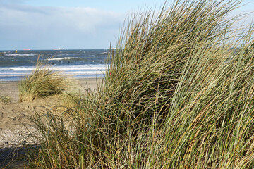 The sandy dunes along the coast of Scheveningen