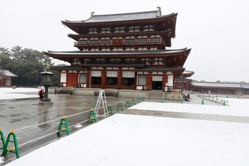 Fototapeta na wymiar 奈良　雪景色の薬師寺