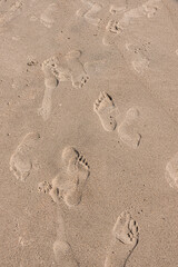 Leave Nothing but Footprints
