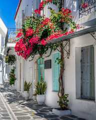 Traditional Cycladitic alley with narrow street, whitewashed houses and a blooming bougainvillea flowers in parikia, Paros island, Greece.	