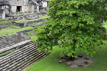 Paisajes y localizaciones de las ruinas mayas de Palenque, en el estado de Chiapas, en el sureste...
