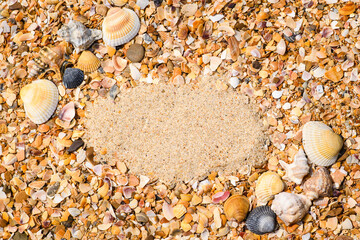 Composition on a marine theme from seashells and sand. Free space for text.;