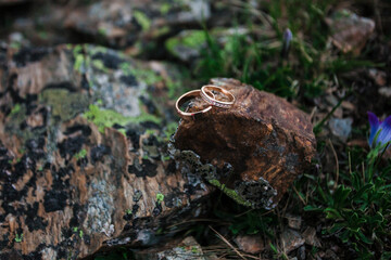 wedding rings on stones