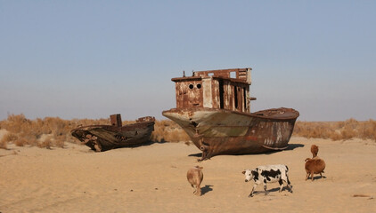 Moynaq (Mo‘ynoq or Muynak), Uzbekistan - Desember 06 2019:  an abandoned rusty ship in the Aral...