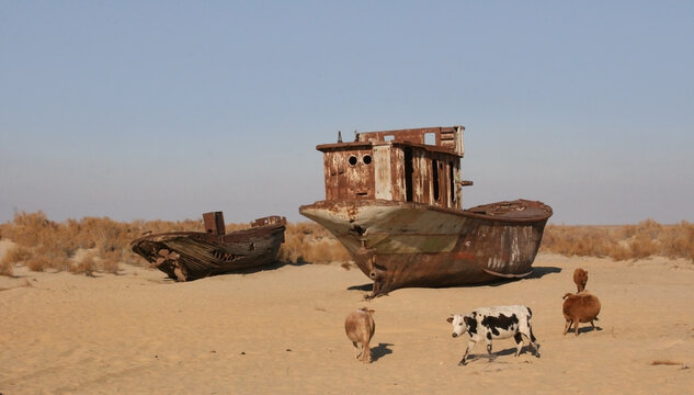 Moynaq (Mo‘ynoq or Muynak), Uzbekistan - Desember 06 2019:  an abandoned rusty ship in the Aral sea. Ecological disaster. Dry bottom of the Aral Sea. World famous as the largest man made disaster. 