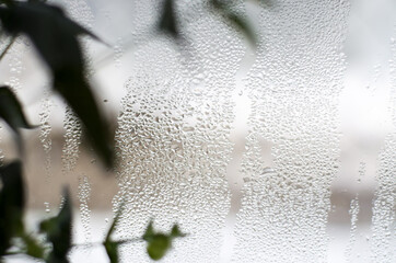 Abstract background of drops on the window. Condensation drops on the window