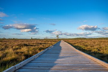 Sun casting low light during calm Sunset in summer over Wooden footpath