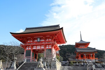 Naklejka premium 京都 清水寺