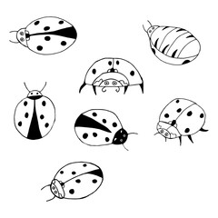 Doodle ladybug set. hand drawn of a kite isolated on a white background. Vector illustration