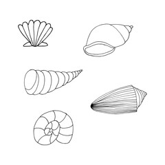 Doodle shell set. hand drawn of a kite isolated on a white background. Vector illustration