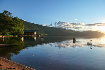 Fototapeta premium A swan crossing the Millstaetter lake in Austria during the sunset. The lake is surrounded by high Alps. Calm surface of the lake reflecting the sunbeams. A wooden cottage at the shore of the lake
