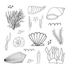 Doodle marine elements. Set of marine hand drawn icons on white background. Vector illustration with random elements. Design for prints and cards.