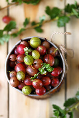 Fresh gooseberries in a bowl. Large pink gooseberry.