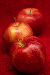 Red apples isolated in red background