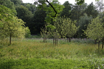 Landschaftsidylle im Westfalenpark in Dortmund