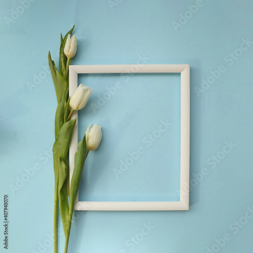 White  tulips with blank picture frame on light blue background. Holiday postcard for Women's Day or Mother's Day or Sale concept. Floral spring background with copy space.