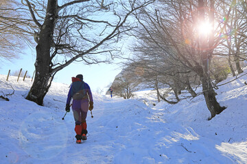senderista montañera mujer con bastones  y grampones en la nieve bosque país vasco 4M0A8034-as21