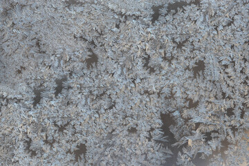 Icy frost pattern on the glass. The concept of winter.