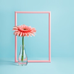 Fototapeta na wymiar Pink border frame with gerbera in vase on blue background. Minimal floral concept. Mockup for special offers as advertising or other ideas. Empty place for inspirational, motivational text or quote.
