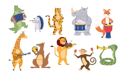 Funny cute animals play musical instruments