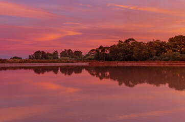 sunset over lake, in ria Formosa Park , Algarve Portugal 