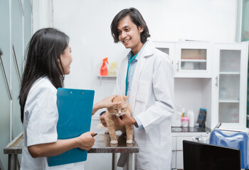 Two veterinarians stand near the table and a male vet hold a sick cat in the clinic